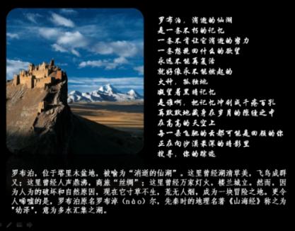 逃出林中村
