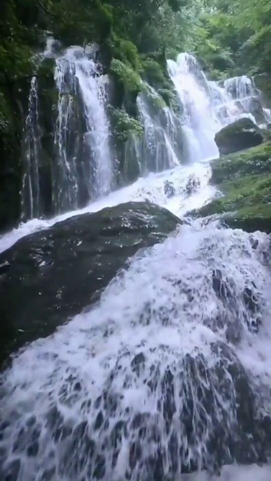 你好邻居